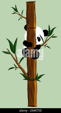 Panda Bärenjunge klettert Bambusstamm mit Bambuszweigen und grünen Blättern isoliert auf hellgrünem Hintergrund. Clipart, Vektordesign-Element. Stock Vektor
