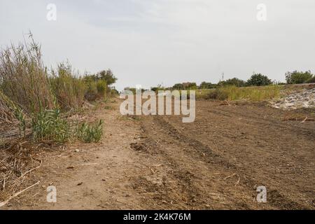 Reinigung der Flussufer des Guadalhorce-Naturschutzparks, Malaga, Andalusien, Spanien. Stockfoto