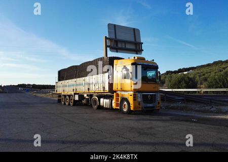 Renault Magnum parkte neben der Autobahn. Provinz Sevilla, Spanien. Stockfoto