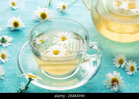 Kamillentee in einer Tasse mit einer Teekane, einem Kräutertee zum Entspannen, organische lose Blüten auf blauem Hintergrund Stockfoto