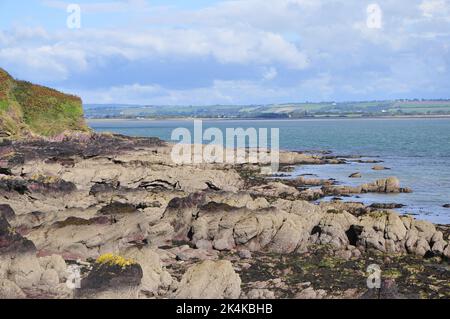 Klippen in Ballymacoda East Cork Irland Stockfoto