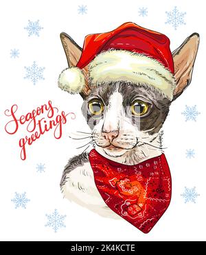 Weihnachtskarte mit witzigem cornish rex Katzenportrait in weihnachtshut, Bandana, Schneeflocken und Schriftzug Staffeln Gruß. Vektorgrafik. Für Deko Stock Vektor