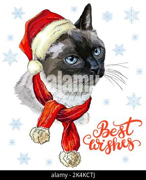 Weihnachtskarte mit witzigem thailändischem Katzenportrait in Weihnachtshut, Schal, Schneeflocken und Schriftzug Herzliche Glückwünsche. Vektorgrafik. Für die Einrichtung, des Stock Vektor