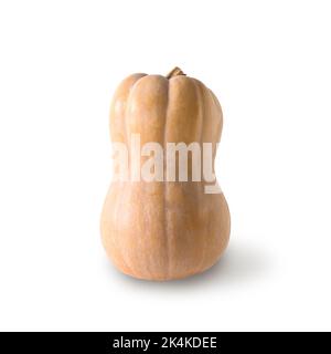 Halber Butternut Kürbis isoliert auf weißem Hintergrund. Stockfoto