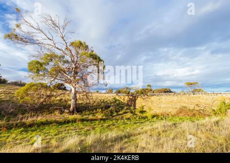 Spiky Bridge in Tasmanien, Australien Stockfoto