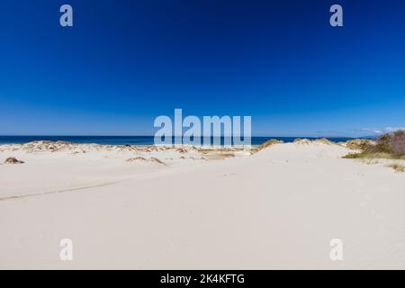 Peron Dunes in Akaroa, Tasmanien, Australien Stockfoto