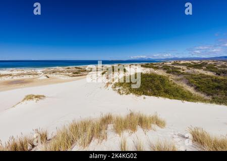 Peron Dunes in Akaroa, Tasmanien, Australien Stockfoto