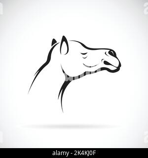 Vektor eines Kamelkopfes auf weißem Hintergrund, leicht editierbare Vektorgrafik in Ebenen. Wilde Tiere. Stock Vektor