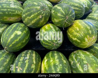 Große reife Wassermelonen zum Verkauf an der Obsttheke in einem Supermarkt. Stockfoto