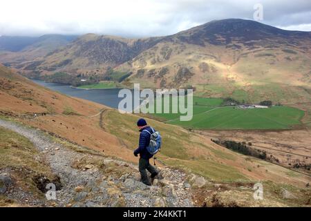 Eingeflügelter Mann beim Spaziergang auf dem Scarth Gap Path von den Wainwright 'Haystacks' nach Buttermere im Lake District National Park, Cumbria, England, Großbritannien. Stockfoto