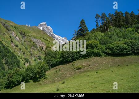 Ushba Berg (4710m hoch) in Upper Svaneti, Georgia. Blick vom Guli-Tal. Stockfoto