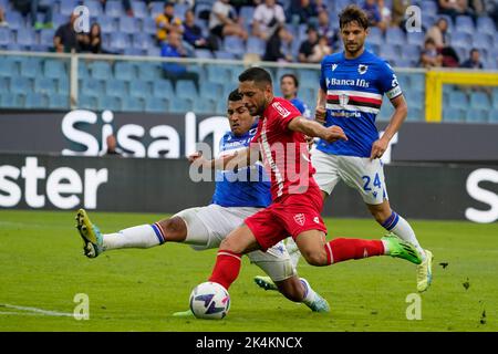Gianluca Caprari (#17 AC Monza) während der italienischen Meisterschaft Serie A Fußballspiel zwischen UC Sampdoria und AC Monza am 2. Oktober 2022 im Luigi Ferraris Stadion in Genua, Italien - Foto Morgese-Rossini / DPPI Stockfoto