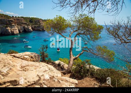 Wunderschönes blaues Wasser in Cala Macarella, Menorca Stockfoto