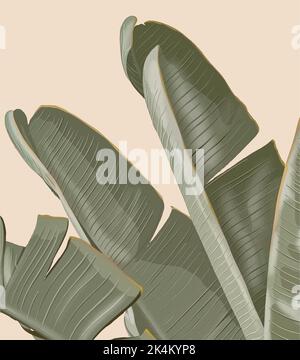 Bananenblätter. Vektor-Mode-Illustration Stock Vektor