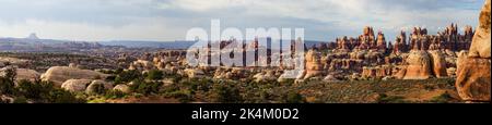 The Needles, Cedar Mesa Sandsteinformationen im Needles District des Canyonlands National Park, Utah. Stockfoto