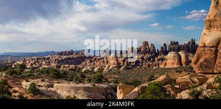 The Needles, Cedar Mesa Sandsteinformationen im Needles District des Canyonlands National Park, Utah. Stockfoto