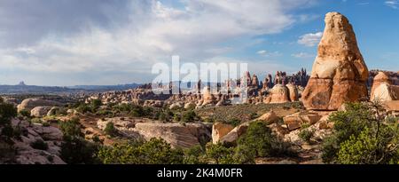 The Needles, Cedar Mesa Sandsteinformationen im Needles District des Canyonlands National Park, Utah. Stockfoto