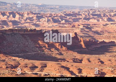 Südansicht von Murphy's Hogback auf dem White Rim Trail in Richtung Needles District im Canyonlands Natioinal Park, Utah. Morgenlicht. Stockfoto