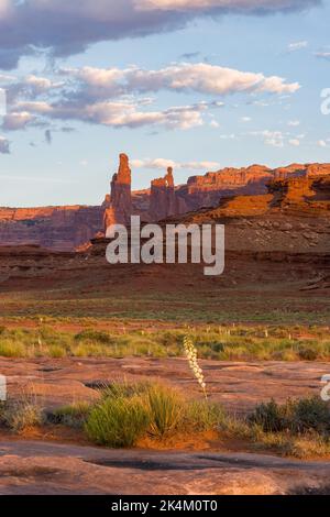 Der Monster Tower & Washer Woman Arch entlang des White Rim Trail im Canyonlands National Park, Utah. Yuccas blühen im Vordergrund. Stockfoto