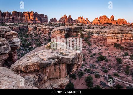 Cedar Mesa Sandsteinformationen im Devil's Garden im Needles District des Canyonlands National Park, Utah. Stockfoto