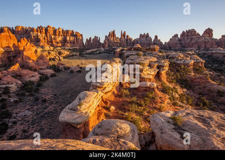 Cedar Mesa Sandsteinformationen im Devil's Garden im Needles District des Canyonlands National Park, Utah. Stockfoto