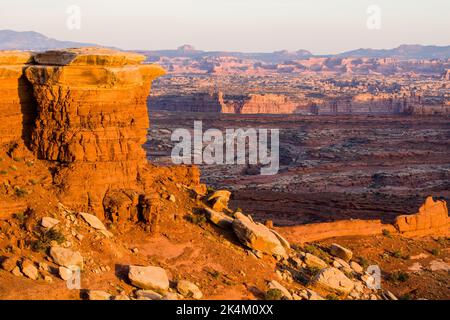 Abendlicht im abgelegenen White Crack Gebiet des White Rim im Canyonlands National Park, Utah mit dem Needles District im Hintergrund. Stockfoto