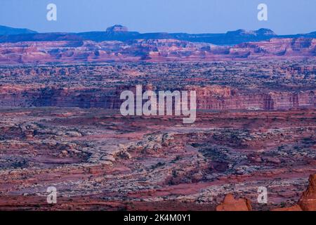 Licht nach Sonnenuntergang in der abgelegenen White Crack Area des White Rim im Canyonlands National Park, Utah. Needles District ist im Hintergrund. Die cli Stockfoto