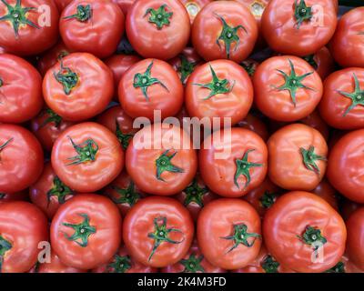 Nahaufnahme von frischen Tomatenfrüchten am Stand des Supermarkts in Asien. Gesunde Ernährung. Zutat zum Kochen. Flach liegend. Stockfoto