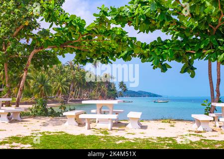 Tropische Küste mit Palmen und einem Tisch an einem malerischen Strand an einem sonnigen Tag. Stockfoto