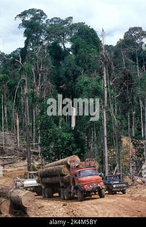 Malaysia. Sabah. Protokollierung. LKW mit riesigen Laubholzstämmen beladen. Stockfoto