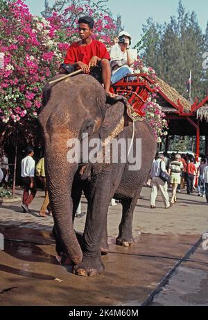 Thailand. Nakhon Pathom. Rosengarten. Tourist mit Kamera Reiten auf Elephant. Stockfoto
