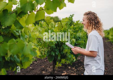 Landwirtschaftliche Bäuerin mit digitalem Tablet-Computer in Weinreben, die Apps und Internet in der landwirtschaftlichen Produktion nutzt. Freier Speicherplatz für Text. Internet Stockfoto