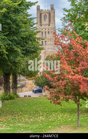 Ely Kathedrale in Cambridgeshire Stockfoto