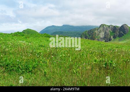 Schöne Landschaft der Insel Kunashir mit grasbewachsenen Hügeln und Basaltfelsen, konzentrieren sich auf die Nähe Forbs Stockfoto