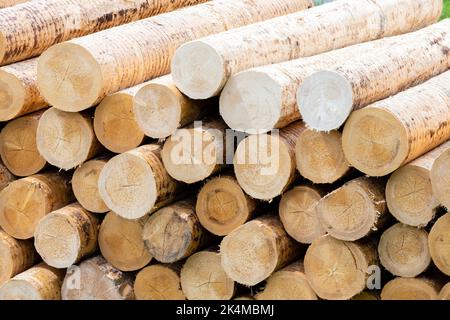 Holzverarbeitende Industrie in Alpen, Italien.