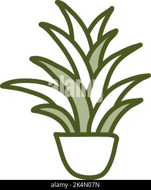 Dracaena Pflanze im Topf, Illustration, Vektor auf weißem Hintergrund. Stock Vektor