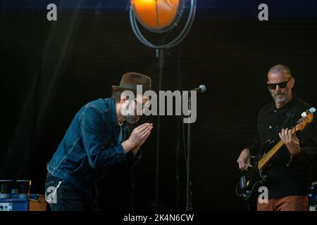 AELS CONCERT 2019: Mark Everett (Mr.E) of Aels spielt die Mountain Stage beim Green man Festival 2019 in Brecon, Wales, Großbritannien. Foto: Rob Watkins Stockfoto