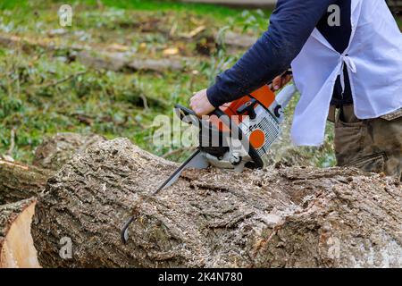 Bei einem Hurrikan hat der Arbeiter eine Kettensäge und er sägt Bäume, die auf den Asphalt fallen Stockfoto