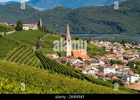 Weinbau, im Etschtal, in der Nähe des Dorfes Tramin an der Weinstraße, Blick von den Weinbergen auf das Dorf, Südtirol, große Flächen von Gewürzt Stockfoto