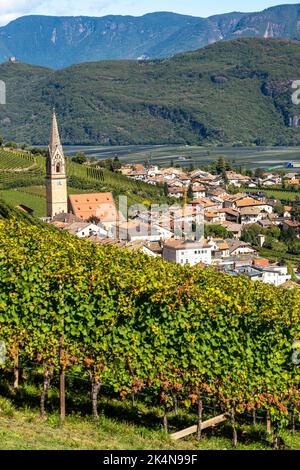 Weinbau, im Etschtal, in der Nähe des Dorfes Tramin an der Weinstraße, Blick von den Weinbergen auf das Dorf, Südtirol, große Flächen von Gewürzt Stockfoto