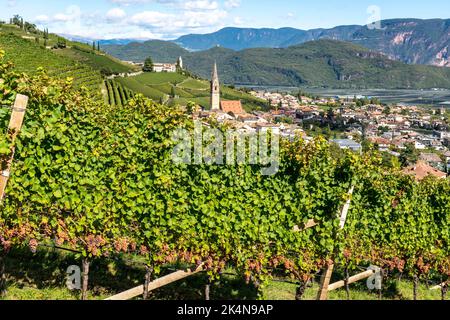 Weinbau, im Etschtal, in der Nähe des Dorfes Tramin an der Weinstraße, Blick von den Weinbergen auf das Dorf, Südtirol, große Flächen von Gewürzt Stockfoto