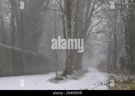 Schnee im Park, Canal Walk, Kilkenny, Irland Stockfoto