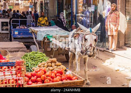 Theben, Luxor, Ägypten. 24. Februar 2022. Ein Esel mit einem Wagen auf einem Markt in Luxor. Stockfoto