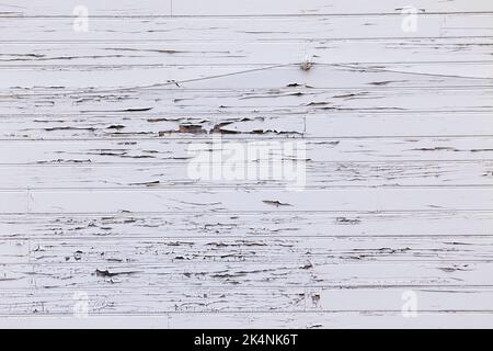 Nahaufnahme von verwitterter, abblätternder Farbe; S. S. Klondike National Historic Site of Canada; Whitehorse; Yukon Territories; Kanada Stockfoto