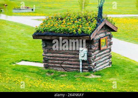Gelbe Ringelblumen wachsen auf dem Dach einer kleinen historischen Blockhütte; Whitehorse; Yukon Territories; Kanada Stockfoto