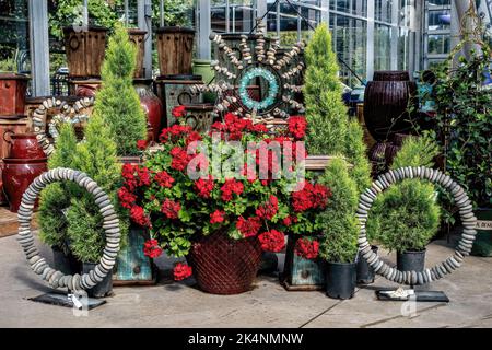 Ein großer Topf voller hübscher roter Geranien und eine einzigartige Ausstellung von Steinkunst, Töpfen und Bäumen an einem Sommertag in der Abrahamson Nurseries in Scandia, MN, USA. Stockfoto