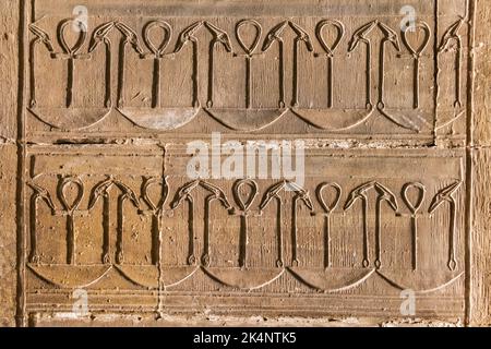 Edfu, Assuan, Ägypten. 25. Februar 2022. Dekoratives Muster mit Ankhs im Tempel des Horus bei Edfu. Stockfoto