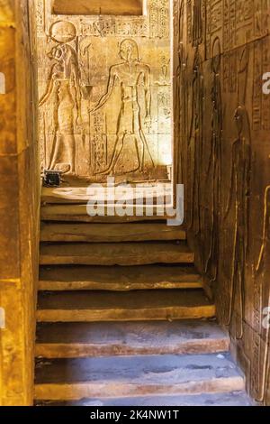 Edfu, Assuan, Ägypten. 25. Februar 2022. Geschnitzte Götter im Tempel des Horus in Edfu. Stockfoto