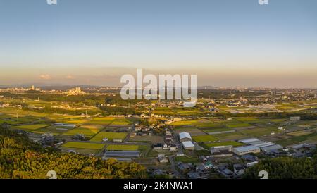 Panorama-Luftaufnahme der späten Nachmittagssonne auf Reisfeldern im Land Stockfoto