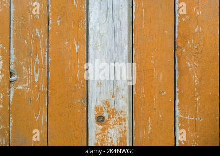 Die Textur eines alten Baumes. Die Textur von Holz mit Ästen und Löchern. Die Textur eines bemalten Zauns. Alt gestrichene Zaun. Stockfoto
